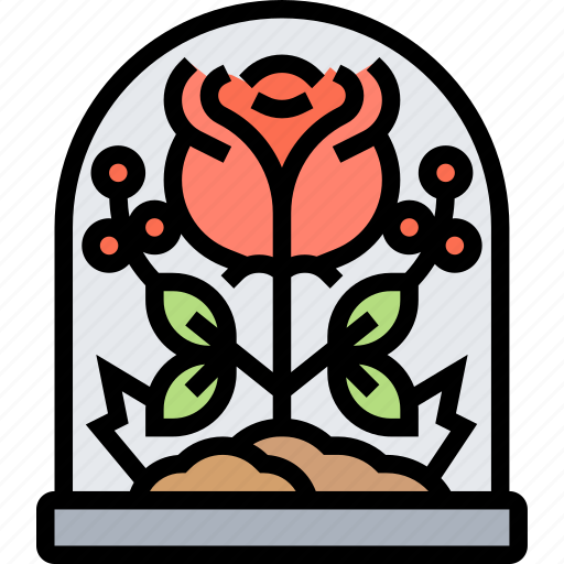 Rose, flower, blossom, decoration, garden icon - Download on Iconfinder
