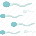 sperm, cell, semen, reproduction, fertilization