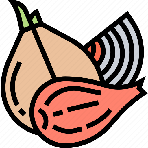 Shallot, cooking, culinary, aromatic, bulb icon - Download on Iconfinder
