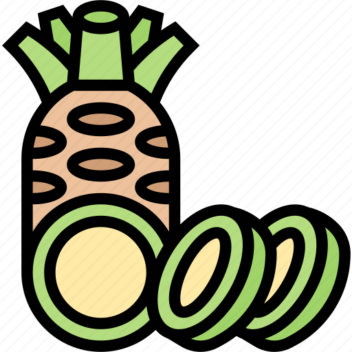 Wasabi, flavor, gourmet, japanese, root icon - Download on Iconfinder