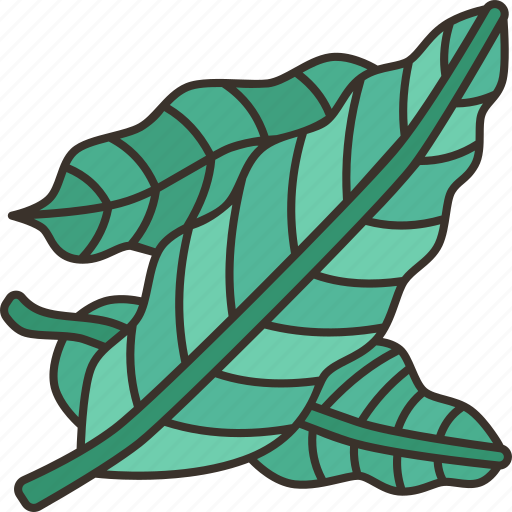 Bay, leaves, flavor, herbal, seasoning icon - Download on Iconfinder