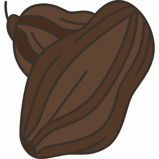 Cardamom, pods, aromatic, fragrant, condiment icon - Download on Iconfinder