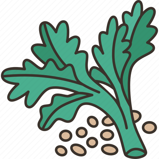 Coriander, cilantro, leaves, ingredient, seasoning icon - Download on Iconfinder