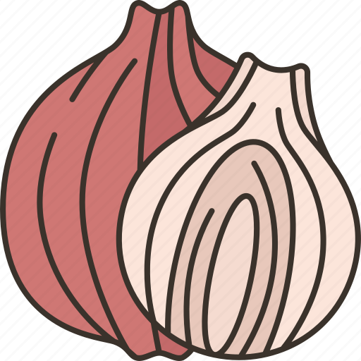 Onion, ingredient, nutrition, organic, plant icon - Download on Iconfinder
