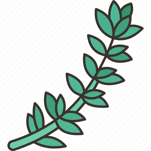 Thyme, herb, condiment, ingredient, cuisine icon - Download on Iconfinder