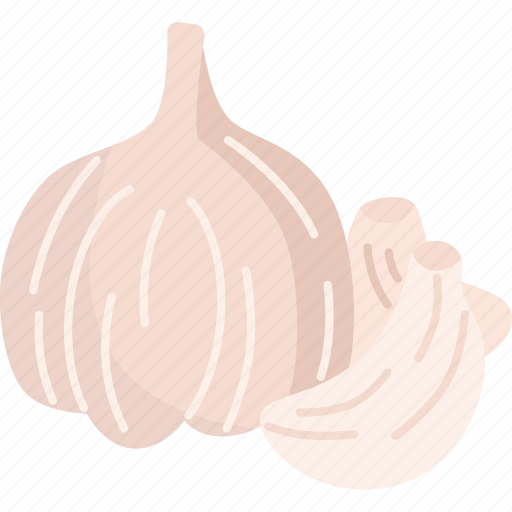 Garlic, aromatic, ingredient, herb, condiment icon - Download on Iconfinder