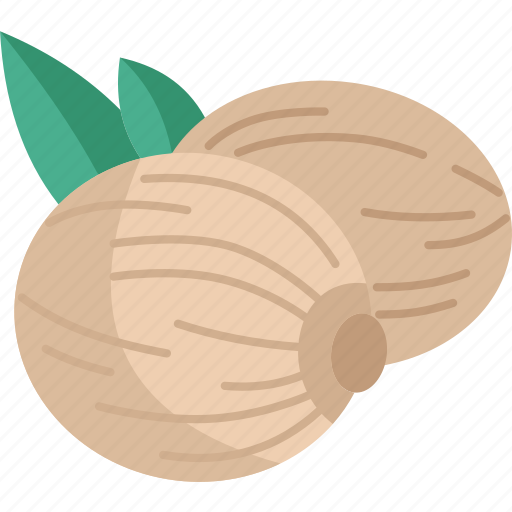 Nutmeg, condiment, seasoning, culinary, aroma icon - Download on Iconfinder