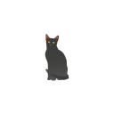 black cat, cat