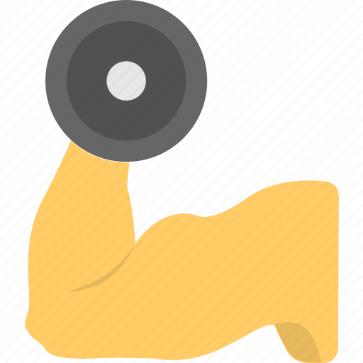 Barbell, dumbbell, fitness, halteres, weight lifting icon - Download on Iconfinder