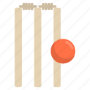 cricket, cricketer, team, match, player