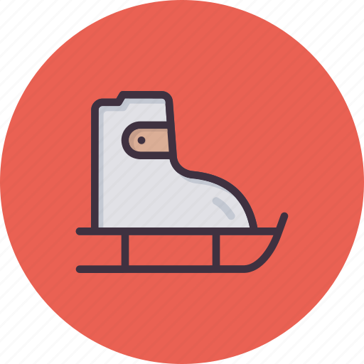 Shoes, skate, skateboard, skating icon - Download on Iconfinder