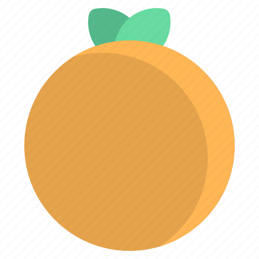 Food, fresh, fruit, healthy, orange icon - Download on Iconfinder