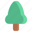 christmas, forest, nature, plant, tree 