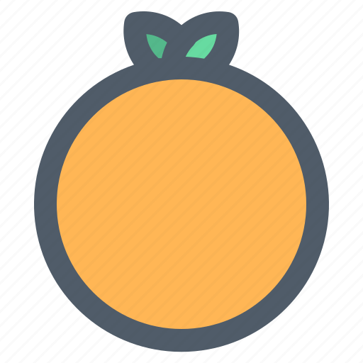 Food, fresh, fruit, healthy, orange icon - Download on Iconfinder