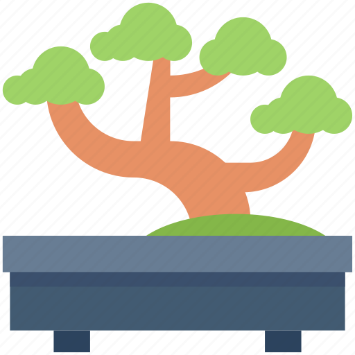 Bonsai, ecology, leaves, nature, plant, tree icon - Download on Iconfinder