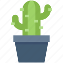 cactus, eco, ecology, environment, nature, plant 