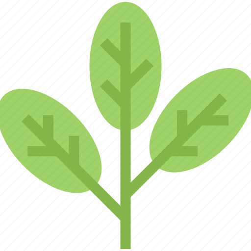 Eco, ecology, environment, leaf, leaves, nature icon - Download on Iconfinder