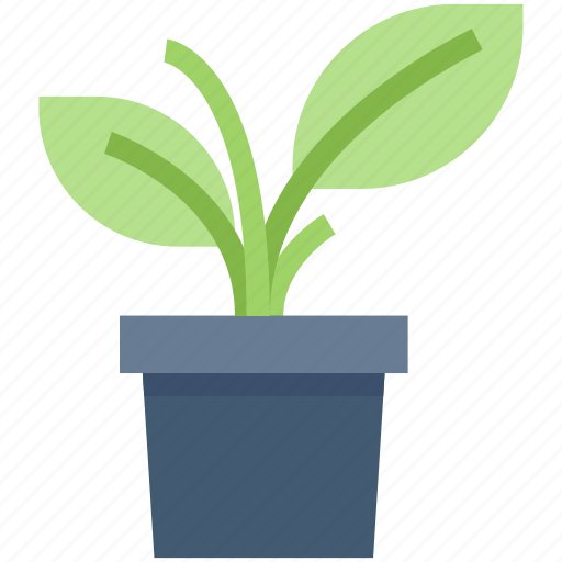 Decor, ecology, nature, plant, pot, potted icon - Download on Iconfinder