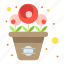 flowers, pot, rose, spring 