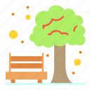 bench, park, tree