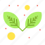 leaf, nature, plant 