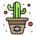 cactus, flower, line, pot