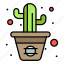 cactus, flower, line, pot 