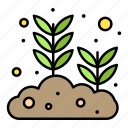 growing, leaf, plant, seed