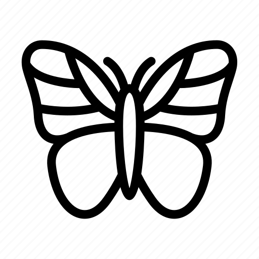 Beautiful, butterfly, fly, insect, spring icon - Download on Iconfinder