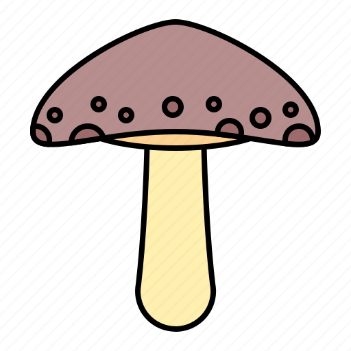 Spring, vegetable, fungus, mushroom icon - Download on Iconfinder