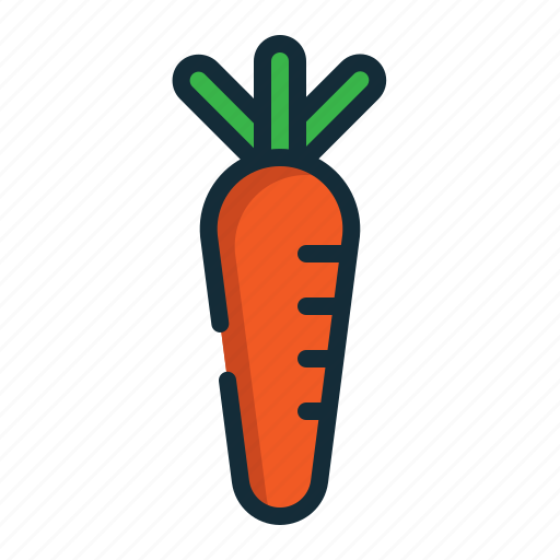 Carrot, vegetable, organic, cooking, healthy, eat, nature icon - Download on Iconfinder