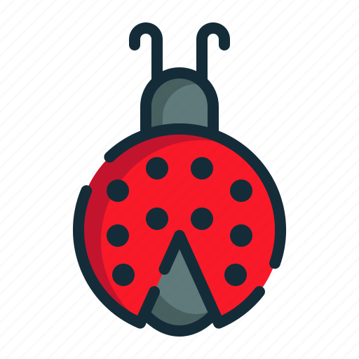 Ladybug, bug, insect, virus, animal, animals, pet icon - Download on Iconfinder