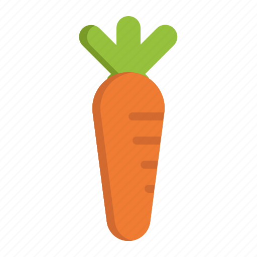 Carrot, vegetable, healthy, organic, food, cooking, spring icon - Download on Iconfinder