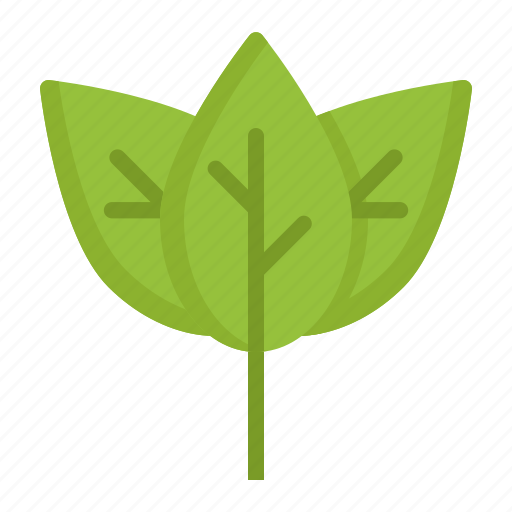 Leaf, ecology, environment, nature, eco, forest, spring icon - Download on Iconfinder
