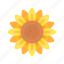 flower, sunflower, blossom, spring, nature, season 