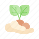 sprout, planting, seeding, gardening, bud, plant, leaf