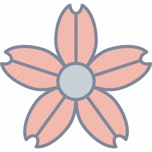 Cherry, blossom, flower, spring icon - Download on Iconfinder