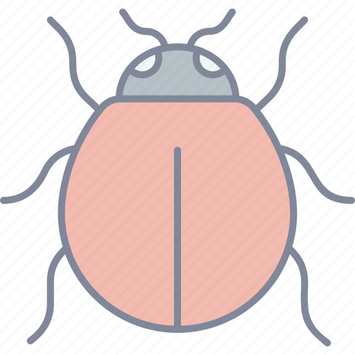 Ladybug, insect, bug, beetle icon - Download on Iconfinder