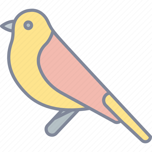 Bird, animal, sparrow, pet icon - Download on Iconfinder