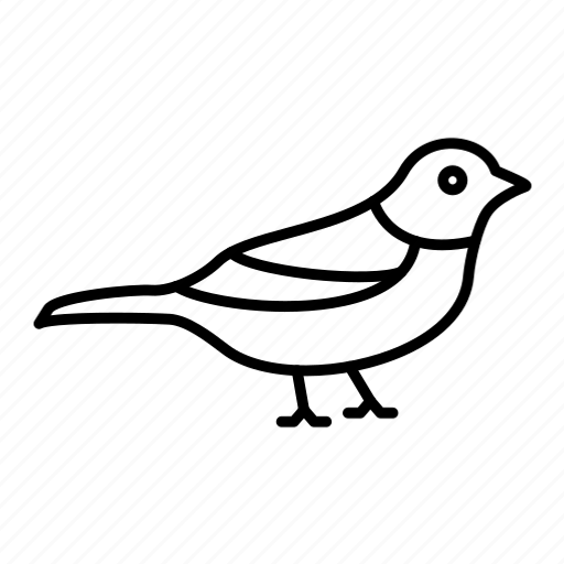 Bird, crow, piegon, beak, wildlife icon - Download on Iconfinder