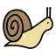 mollusc, slow, slug, snail 