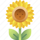 spring, sunflower, flower, nature