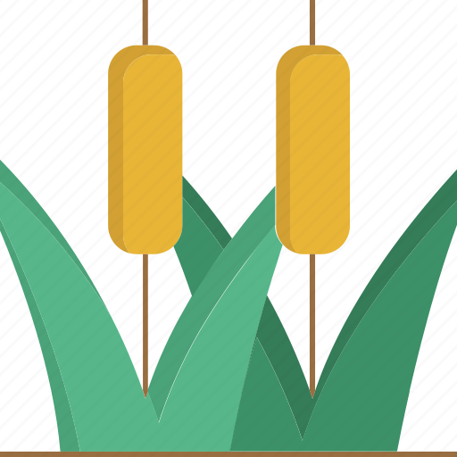 Reeds, nature, plant, green, ecology, landscape, farming icon - Download on Iconfinder