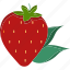 strawberry, food, fruit, sweet, healthy, fresh, dessert, organic, summer 