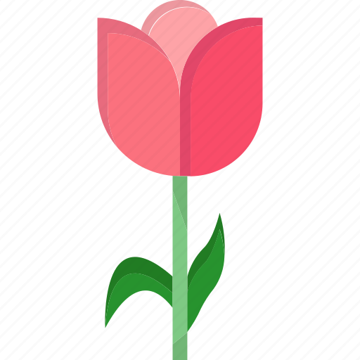 Tulip, flower, nature, spring, blossom, plant, floral icon - Download on Iconfinder