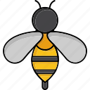 bee, honey, insect, nature, apiary, animal, bug, fly, organic