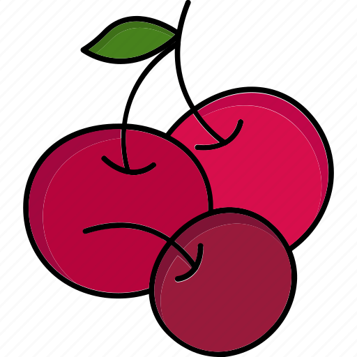 Cherry, food, fruit, sweet, healthy, dessert, fresh icon - Download on Iconfinder