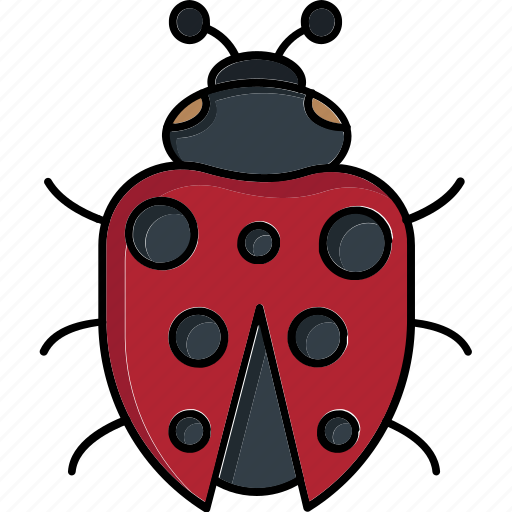 Ladybug, insect, bug, animal, fly, nature, ladybird icon - Download on Iconfinder