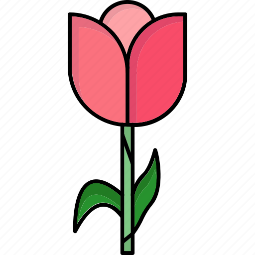 Tulip, flower, nature, spring, blossom, plant, floral icon - Download on Iconfinder