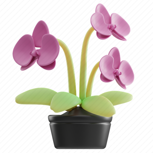 Orchid, flower, decoration, bloom, plant, blossom, spring 3D illustration - Download on Iconfinder